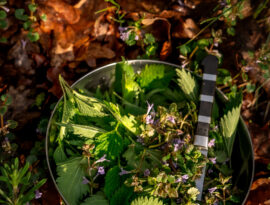 Jarní menu 2026 sobota