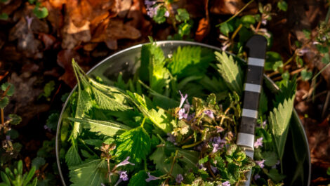 Jarní menu 2026 sobota